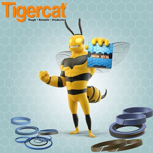 tigercatcaixa.jpg